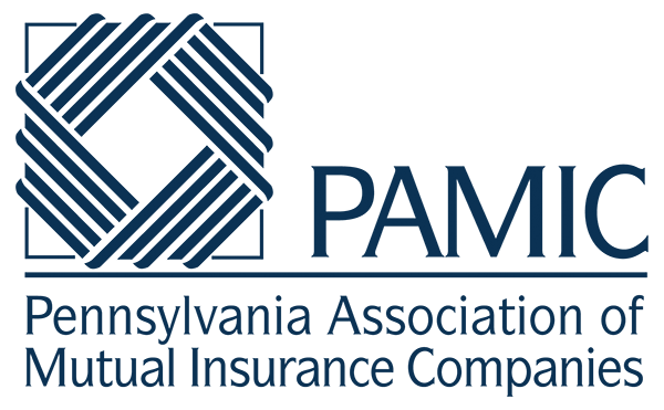 PAMIC Logo